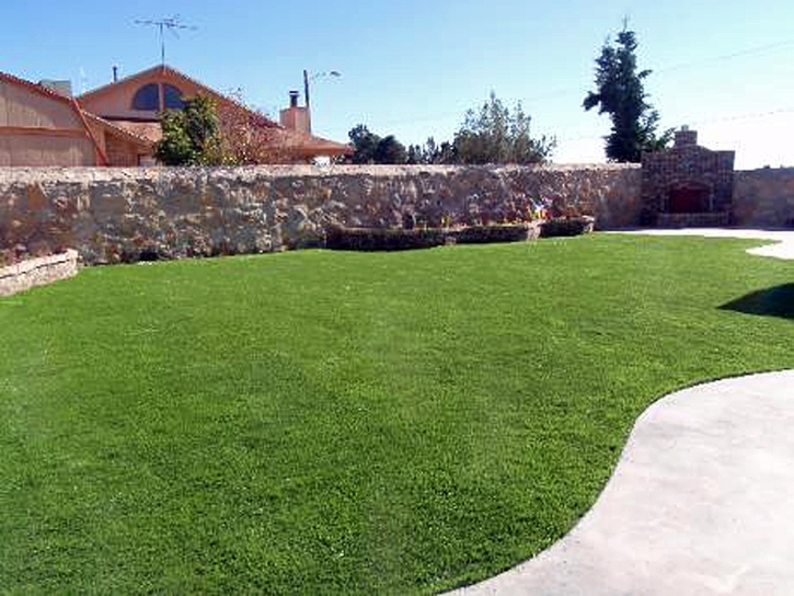 Artificial Grass Alachua, Florida Landscape Ideas, Backyard Designs