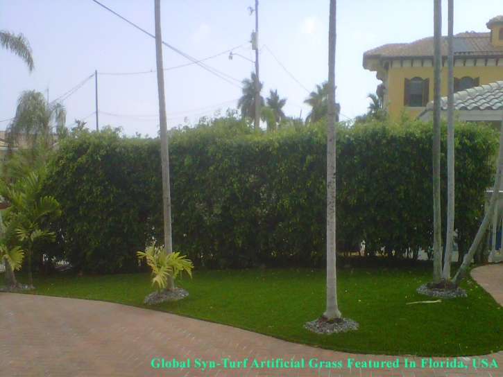 Artificial Grass Baldwin, Florida Roof Top, Front Yard Ideas