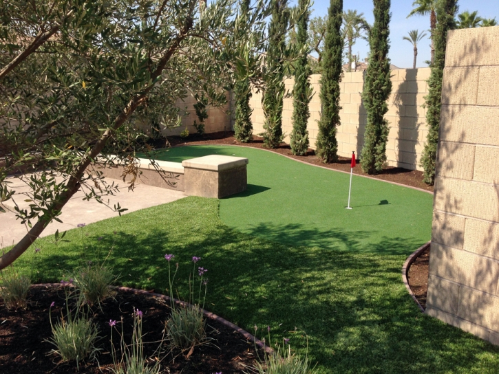 Artificial Grass Beverly Hills, Florida Diy Putting Green, Backyard