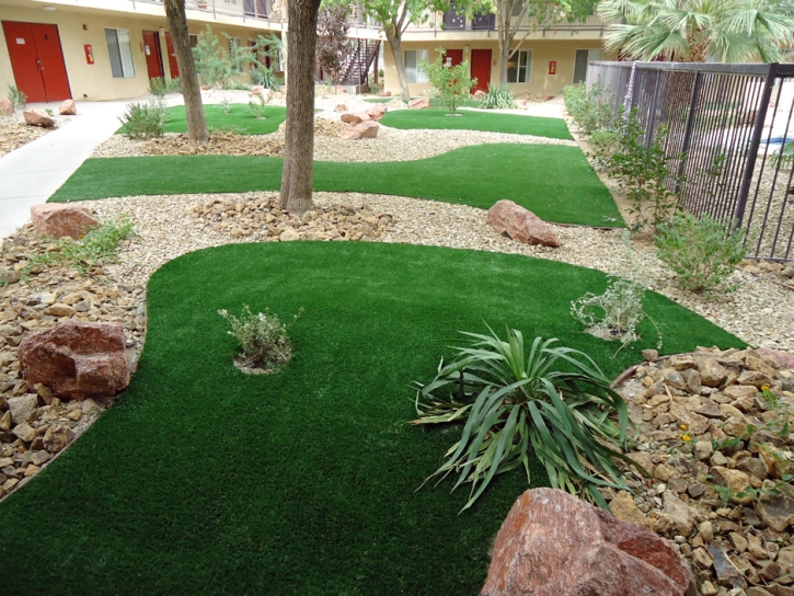 Artificial Grass Carpet Cocoa, Florida City Landscape, Commercial Landscape