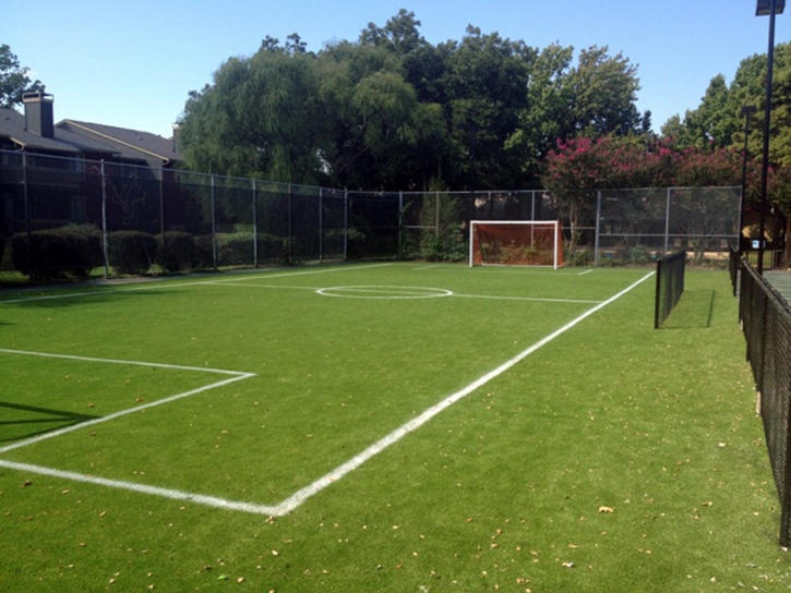 Artificial Grass Carpet De Land Southwest, Florida Stadium, Commercial Landscape