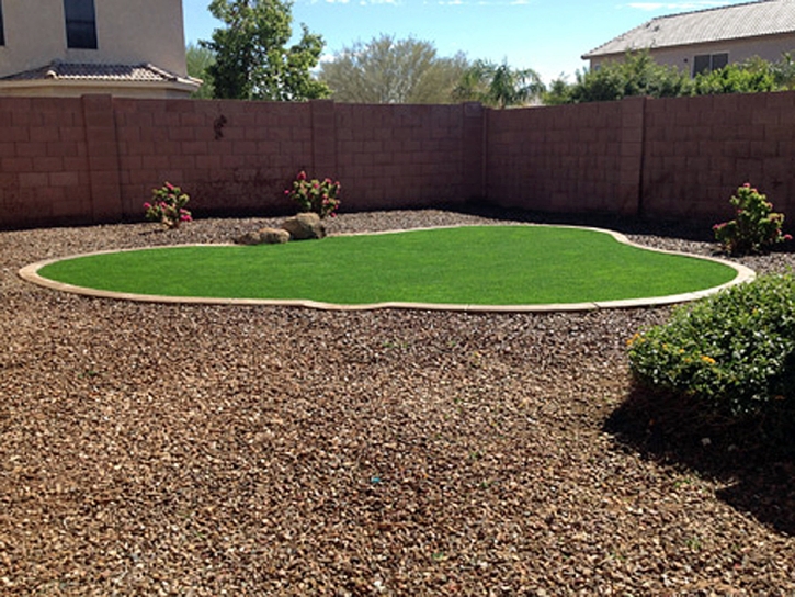 Artificial Grass Carpet De Leon Springs, Florida Landscaping, Backyard Ideas