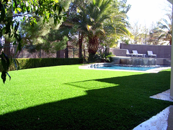 Artificial Grass Carpet Hernando Beach, Florida Lawn And Garden, Backyard Landscaping