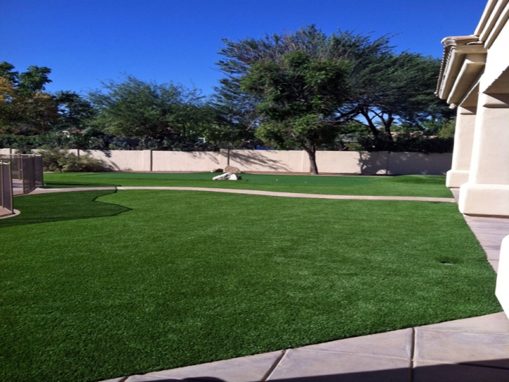 Artificial Grass Carpet Inglis, Florida Gardeners, Front Yard Ideas