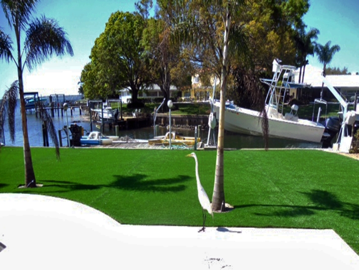 Artificial Grass Carpet Lawtey, Florida Landscape Design, Backyard Design