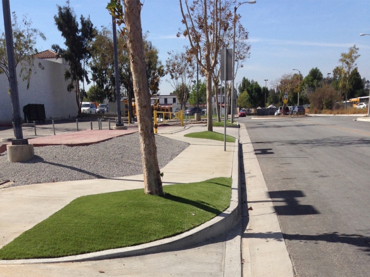 Artificial Grass Carpet Loughman, Florida Lawn And Garden, Commercial Landscape