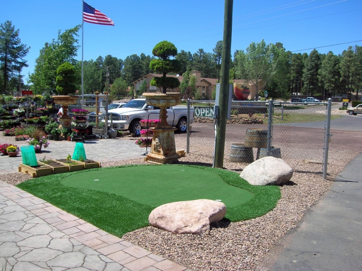 Artificial Grass Carpet Ridge Manor, Florida Garden Ideas, Commercial Landscape