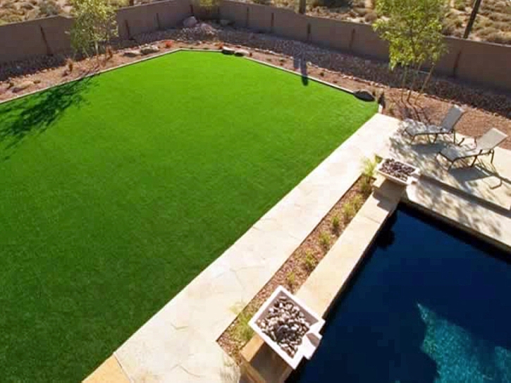 Artificial Grass Carpet Wacissa, Florida Landscape Rock, Backyard Landscape Ideas