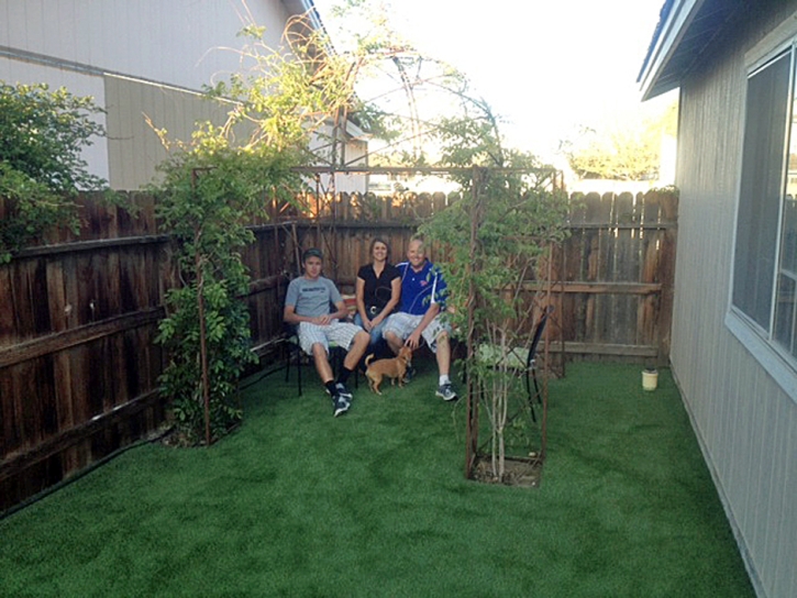 Artificial Grass Carpet Weeki Wachee, Florida Dog Hospital, Backyards