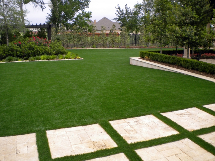 Artificial Grass Carpet Welaka, Florida Lawn And Garden, Small Backyard Ideas