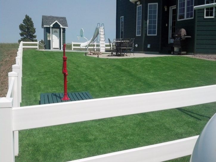 Artificial Grass Carpet Zephyrhills, Florida Backyard Playground, Front Yard Landscape Ideas