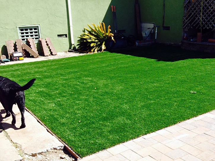 Artificial Grass East Bronson, Florida Rooftop, Beautiful Backyards