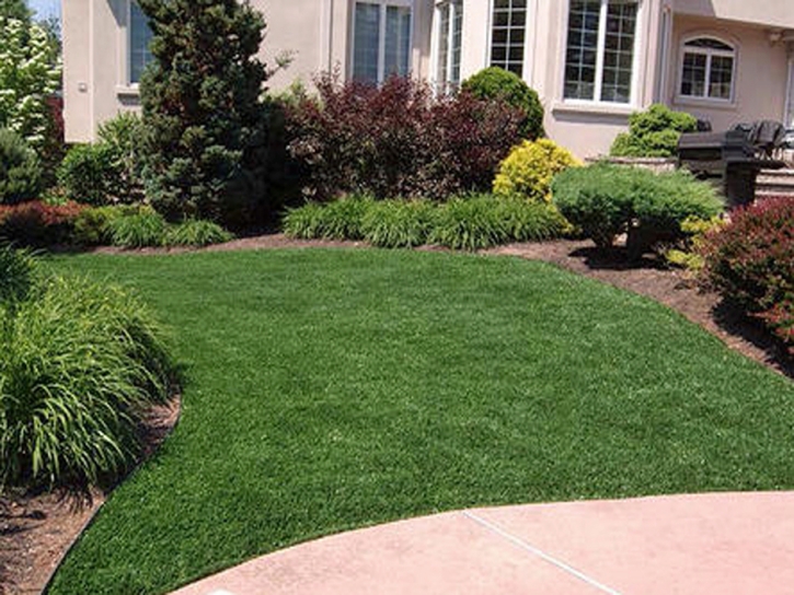 Artificial Grass Glencoe, Florida Lawn And Garden, Front Yard Ideas