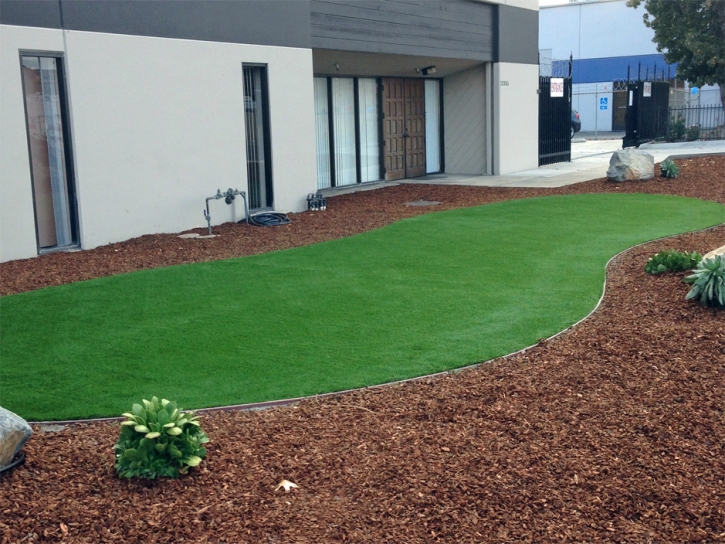 Artificial Grass Installation Glen Saint Mary, Florida Backyard Playground, Commercial Landscape