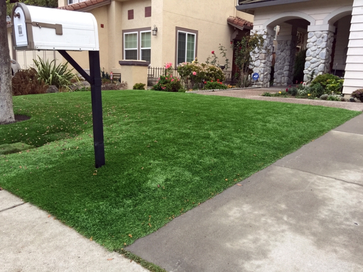 Artificial Grass Installation Hawthorne, Florida Landscape Photos, Front Yard Landscaping