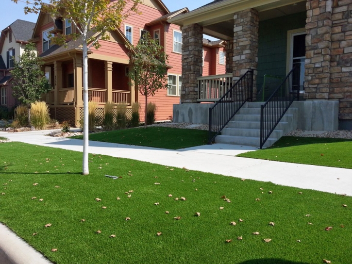 Artificial Grass Installation Saint Augustine, Florida Gardeners, Front Yard Ideas