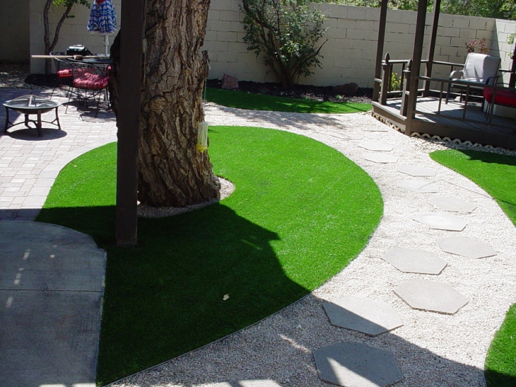 Artificial Grass North Brooksville, Florida Gardeners, Backyard Garden Ideas