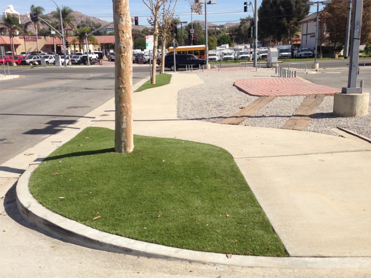 Artificial Grass Oak Ridge, Florida Landscape Photos, Commercial Landscape