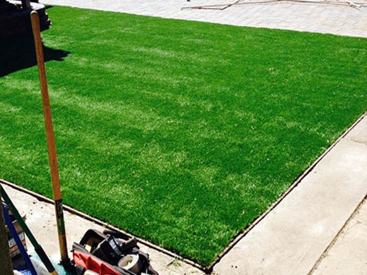 Artificial Grass Seville, Florida Home And Garden