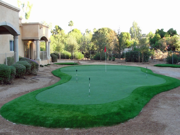 Artificial Grass Shady Hills, Florida Putting Green Turf, Backyard Design