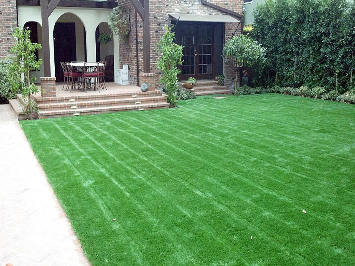 Artificial Grass Tildenville, Florida Landscape Design, Front Yard Ideas