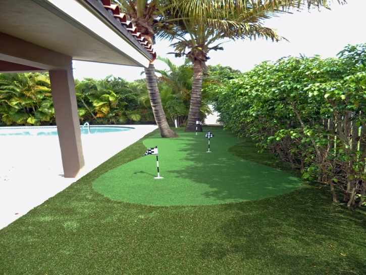 Artificial Grass Trilby, Florida Lawn And Landscape, Backyard Landscaping