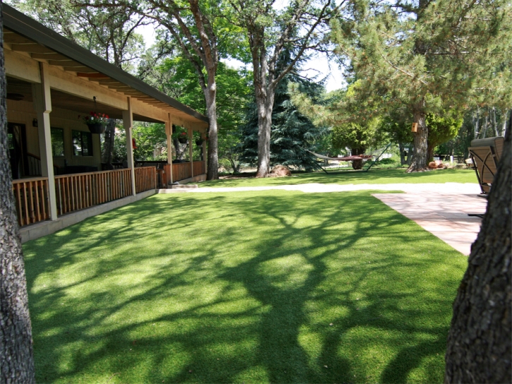 Artificial Grass Waukeenah, Florida Dog Park, Backyards