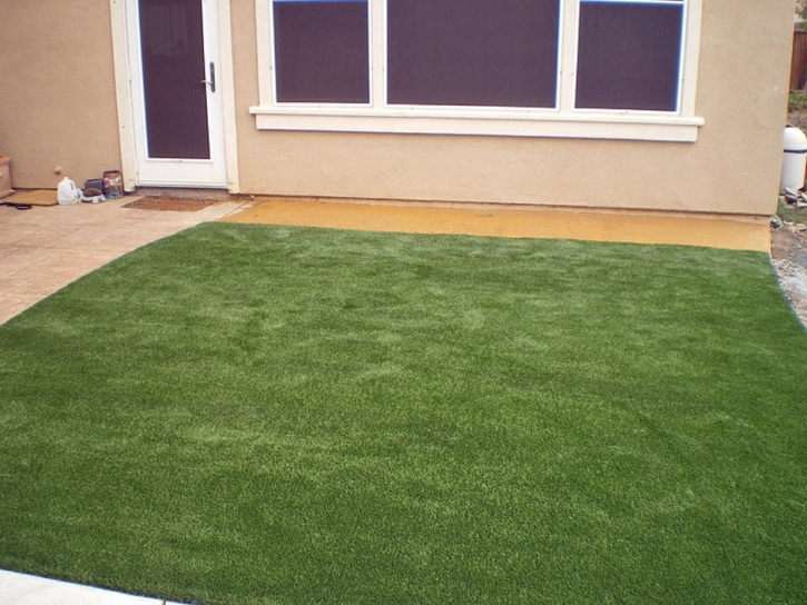 Artificial Grass White Springs, Florida Gardeners, Backyard