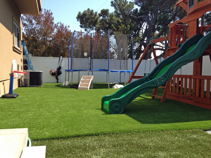 Artificial Grass Winter Park, Florida Rooftop, Backyard Landscape Ideas