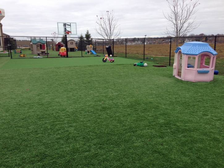 Artificial Lawn Clermont, Florida Athletic Playground, Commercial Landscape