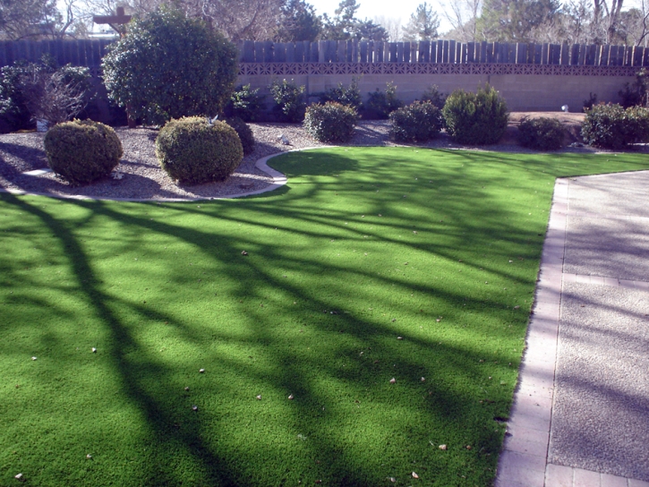 Artificial Lawn Conway, Florida Landscape Photos, Front Yard Landscape Ideas