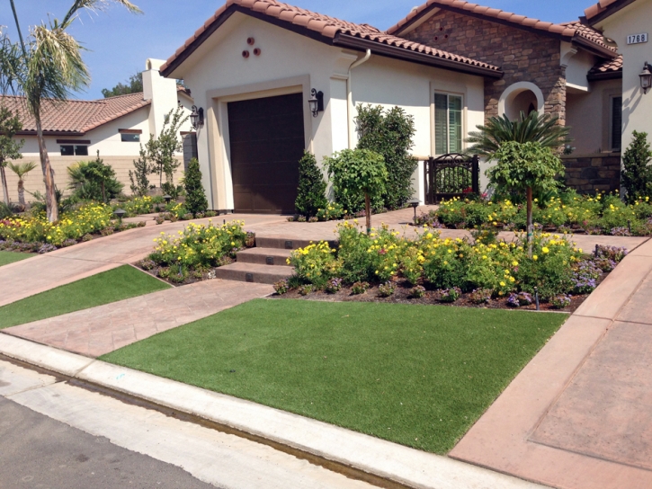 Artificial Lawn Crystal River, Florida Landscape Rock, Small Front Yard Landscaping