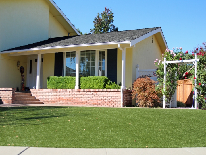 Artificial Lawn Crystal River, Florida Rooftop, Front Yard Landscape Ideas