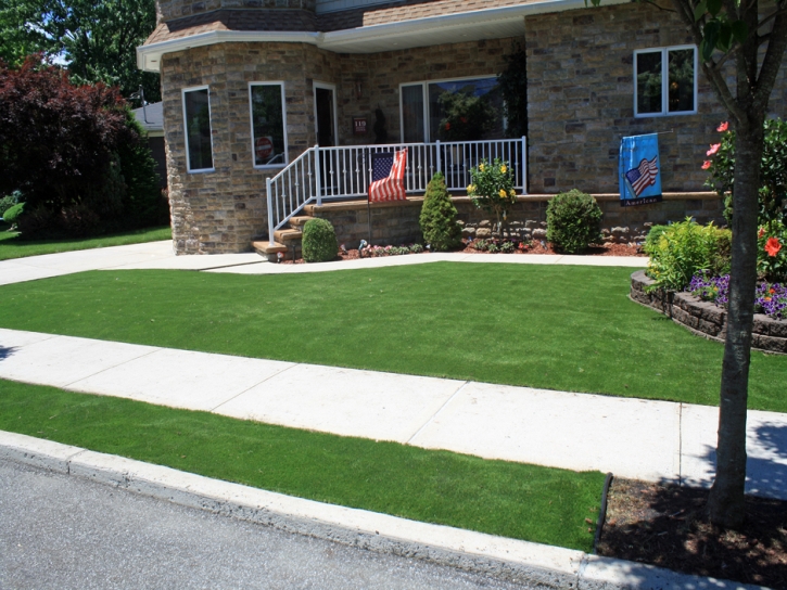 Artificial Lawn Five Points, Florida Lawn And Landscape, Front Yard Ideas