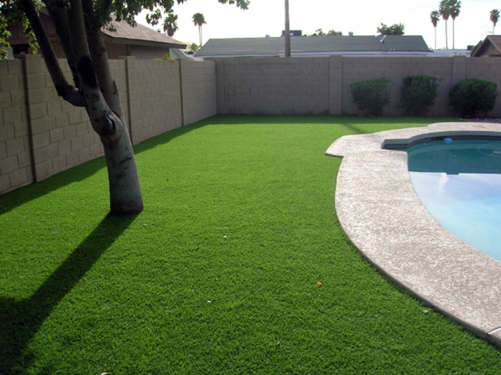 Artificial Lawn Holly Hill, Florida Home And Garden, Small Backyard Ideas