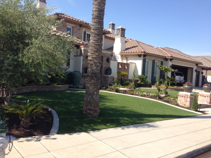 Artificial Lawn Mascotte, Florida Lawns, Front Yard Landscaping