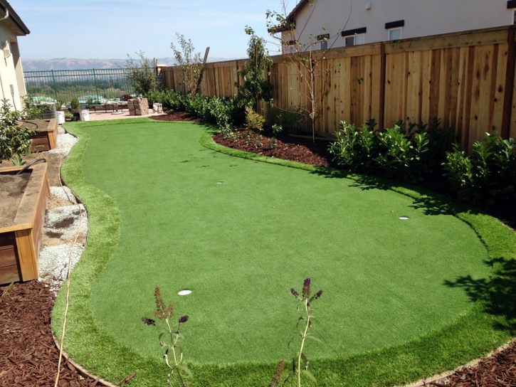 Artificial Lawn Newberry, Florida Golf Green, Backyard Ideas