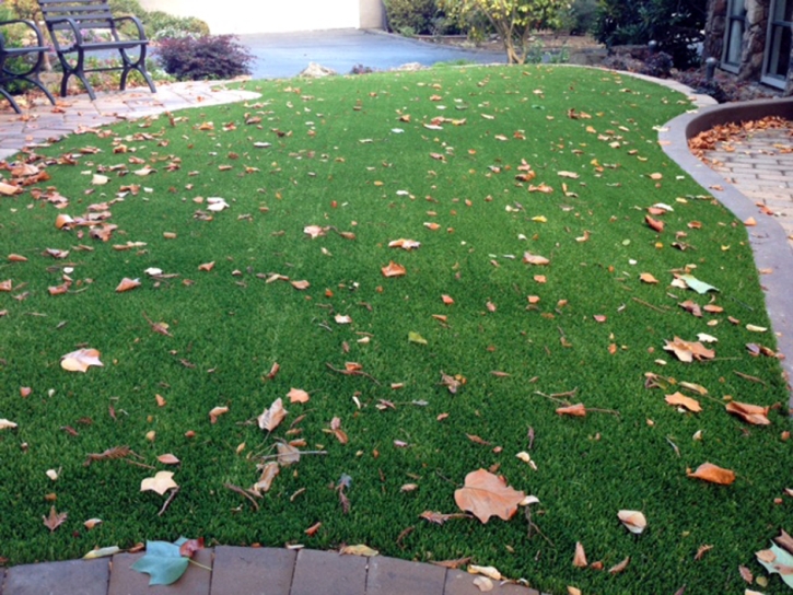 Artificial Lawn San Antonio, Florida City Landscape, Front Yard Landscaping Ideas