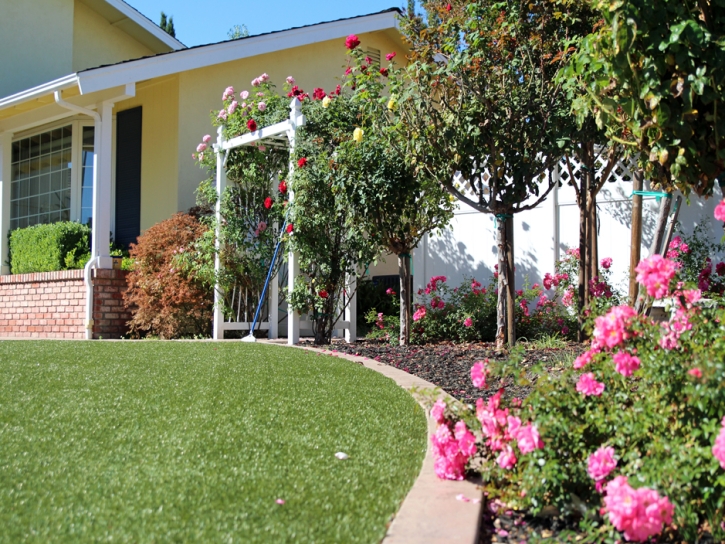 Artificial Lawn The Villages, Florida Lawn And Garden, Front Yard Landscaping