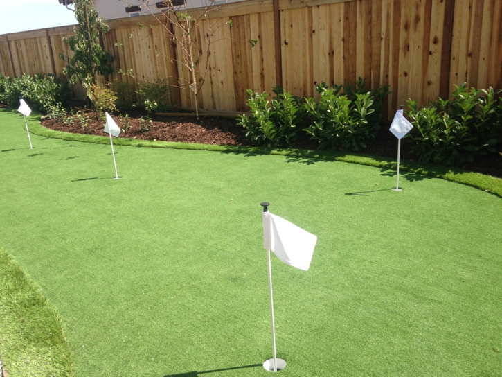 Artificial Turf Cost Branford, Florida Putting Green, Backyard Ideas