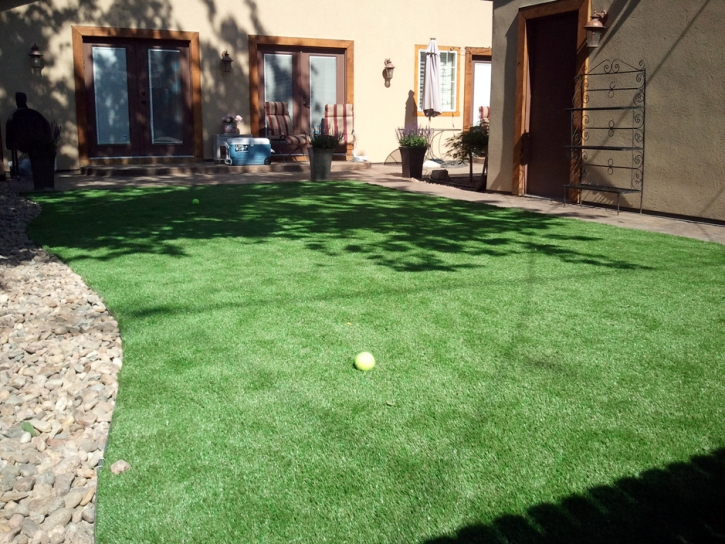 Artificial Turf Cost Celebration, Florida Roof Top, Beautiful Backyards