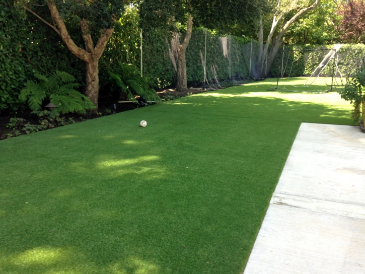 Artificial Turf Cost Center Hill, Florida Grass For Dogs