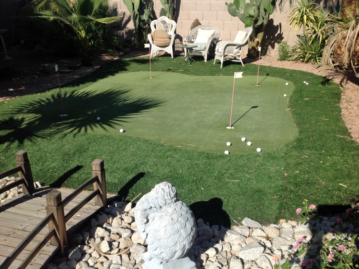 Artificial Turf Cost Edgewater, Florida Design Ideas, Backyard Landscape Ideas