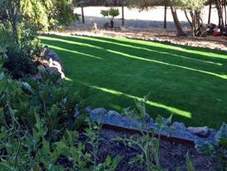 Artificial Turf Cost Five Points, Florida Lawn And Garden, Beautiful Backyards