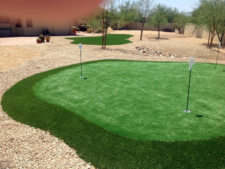 Artificial Turf Cost Hawthorne, Florida Best Indoor Putting Green, Backyard Designs