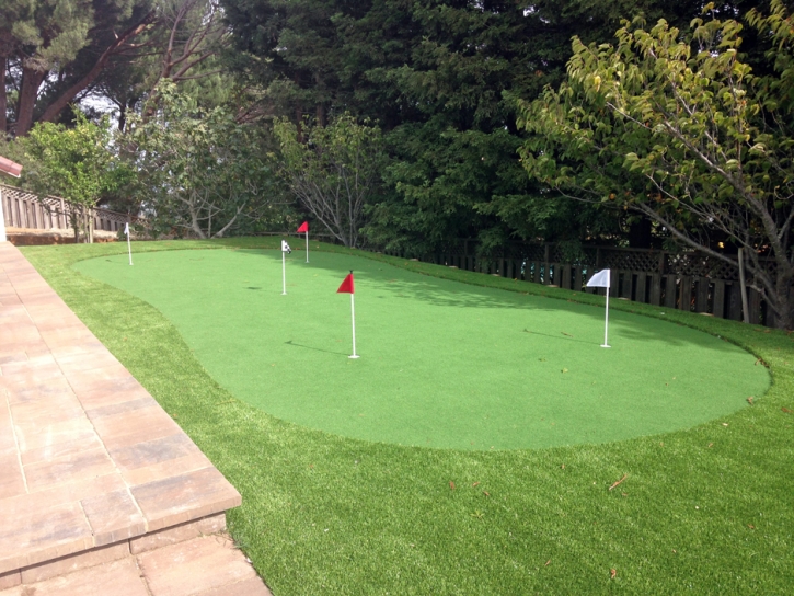 Artificial Turf Cost Inglis, Florida Indoor Putting Green, Small Backyard Ideas