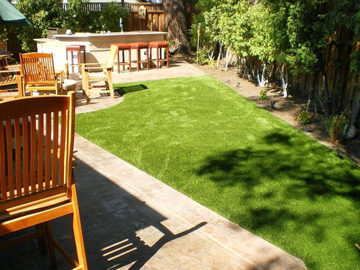 Artificial Turf Cost Orange City, Florida Dogs, Backyard Ideas