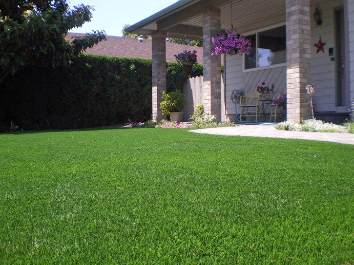 Artificial Turf Cost Tangelo Park, Florida Rooftop, Small Front Yard Landscaping