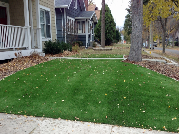 Artificial Turf Cost Union Park, Florida Landscaping Business, Front Yard Design