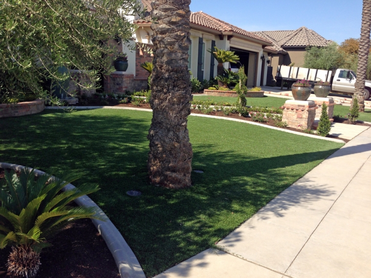 Artificial Turf Dunnellon, Florida Lawn And Landscape, Front Yard